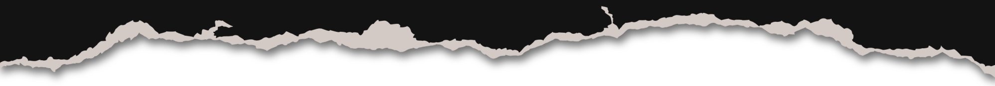 a close up of a plant